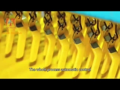 समायोज्य कोटिंग के साथ लंबे समय तक चलने वाली पूर्ण स्वचालित डुबकी कोटिंग लाइन