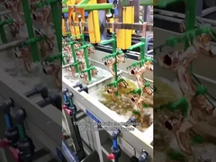 इलेक्ट्रोप्लेटिंग ऑक्सीकरण उत्पादन लाइन